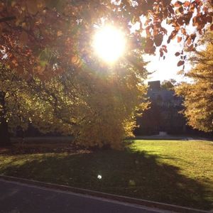 Meet your Posher, Margot